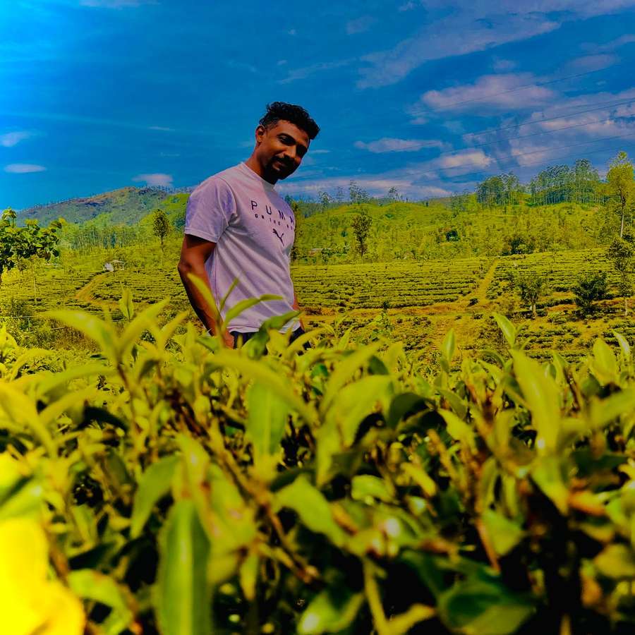85387693 4394 medium large