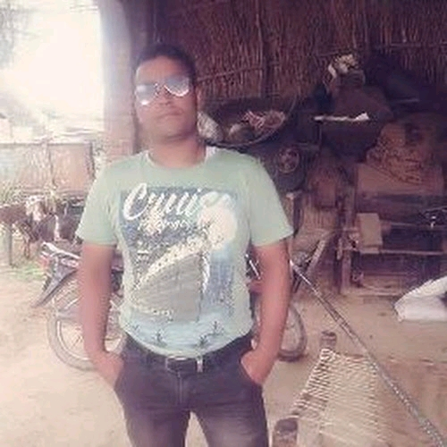 51827816 3395