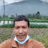 Gindo rajagukguk's photo