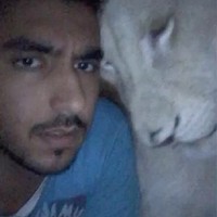 Malqattan's photo