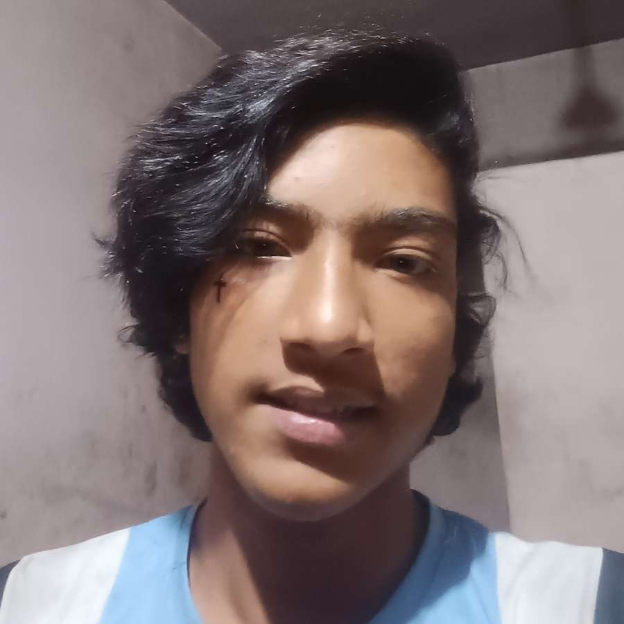 86288925 566 medium large