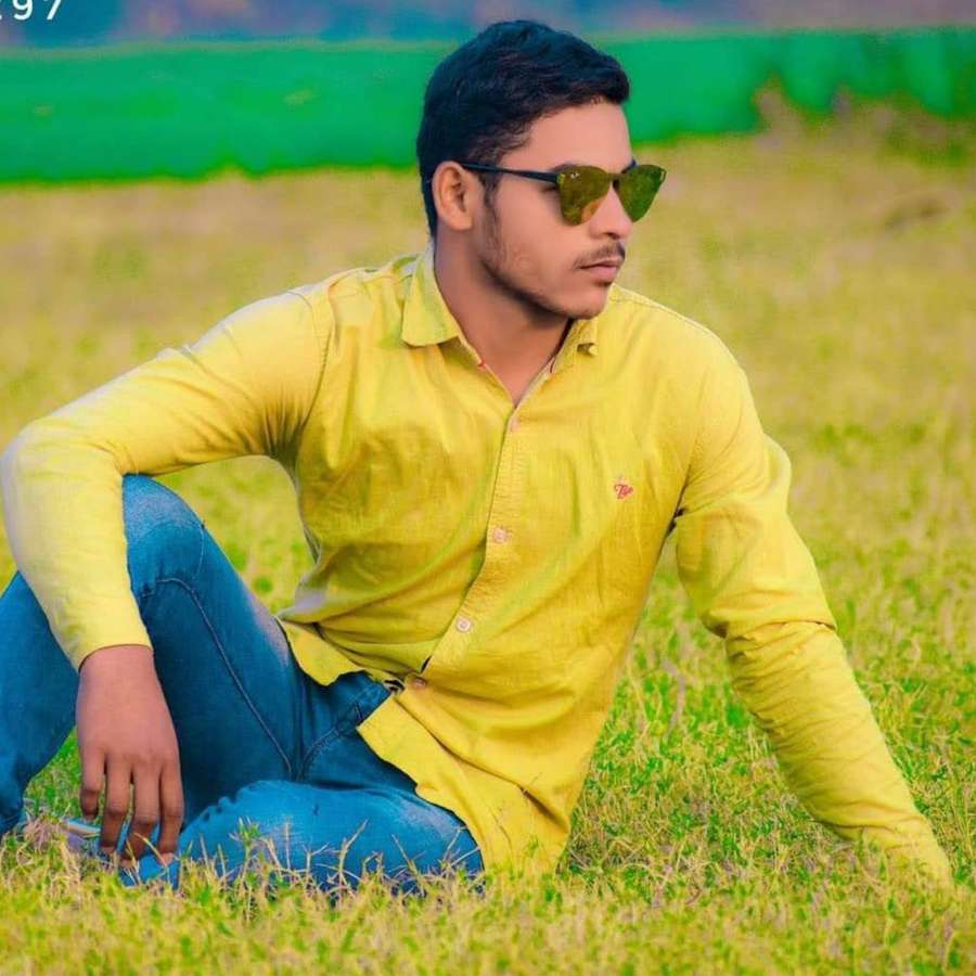 84662036 731 medium large