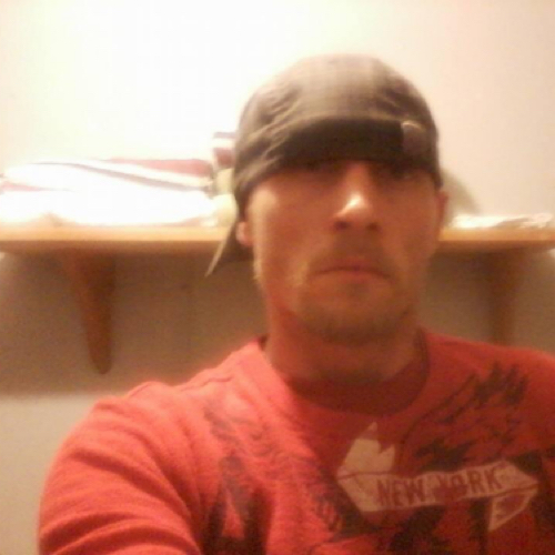 49894085 9560
