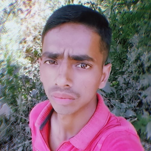 49489295 3653