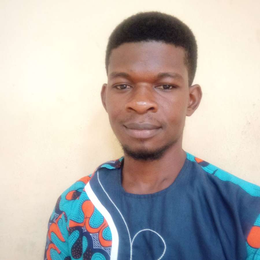 84235024 733 medium large