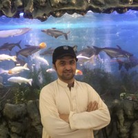 Mohammad Shafi's photo