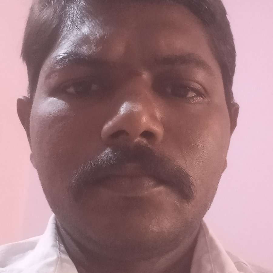 82234305 2954 medium large