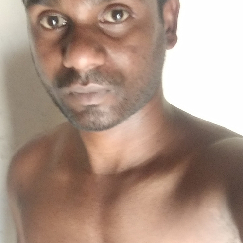 47623739 9731