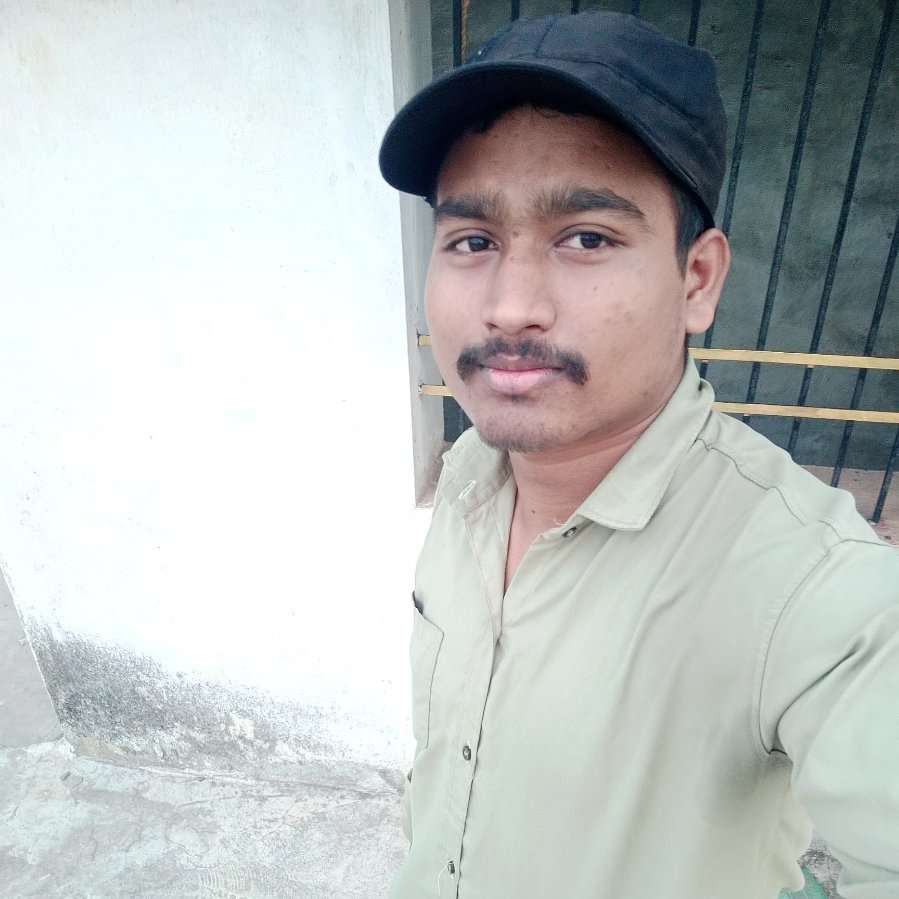 81508867 4172 medium large
