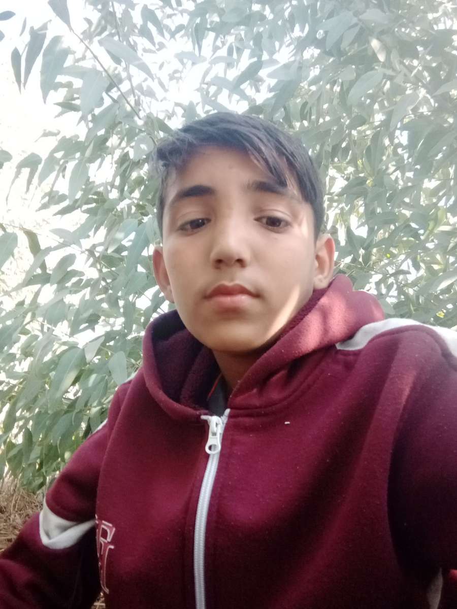 87381558 7193 medium large