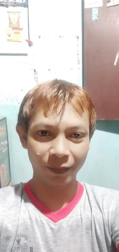 48864043 1173