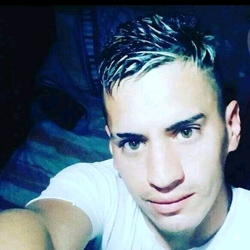 56556913 2278