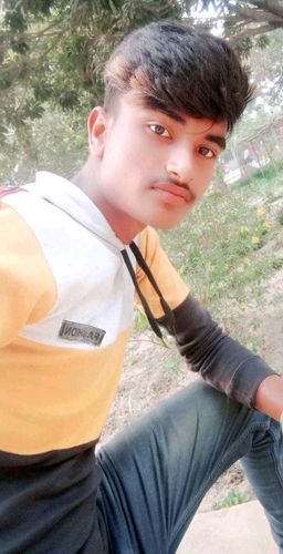 50954126 7382