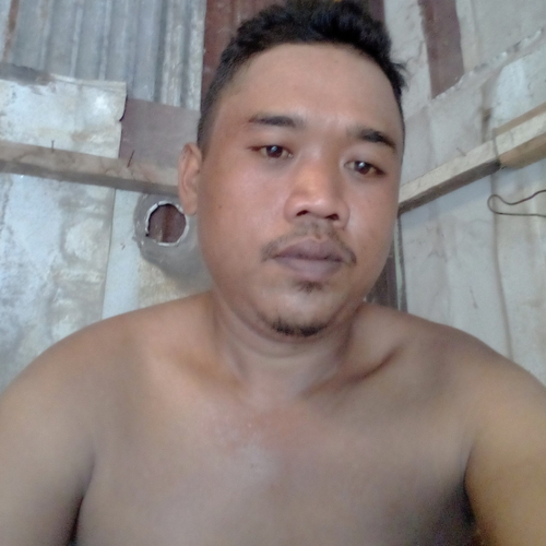 47748783 8084