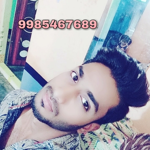 44081827 399