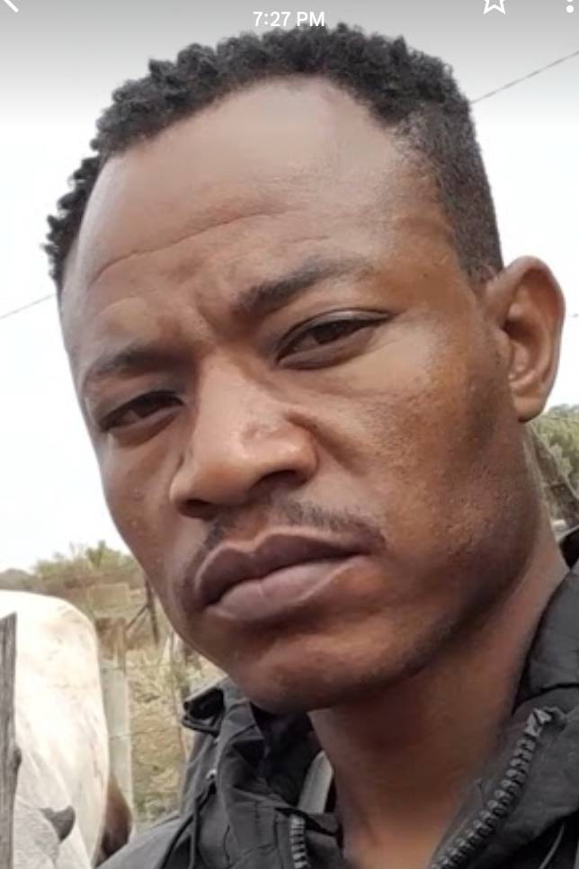 89314753 5688 medium large