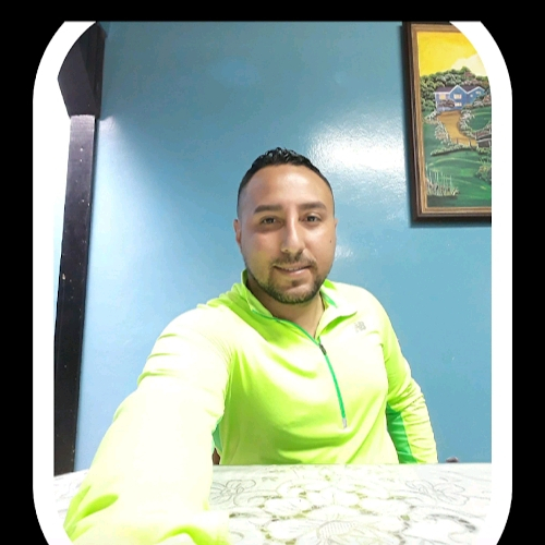 50384555 4223