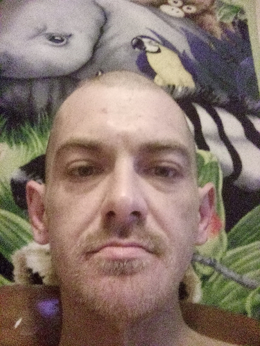 46187815 3770