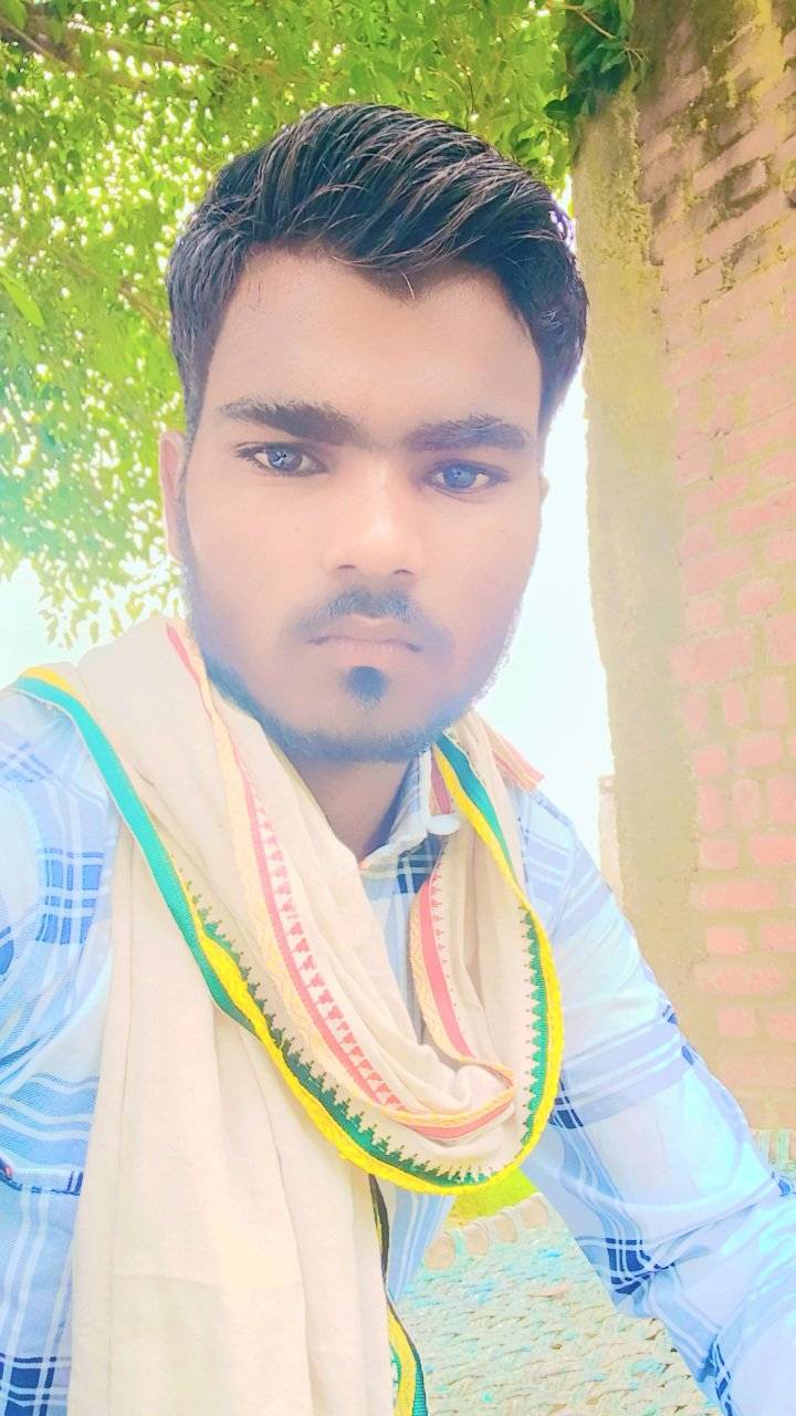 83329467 2595 medium large