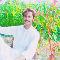 farrukhrahim194@gmail.com's photo