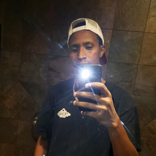 49862088 7919