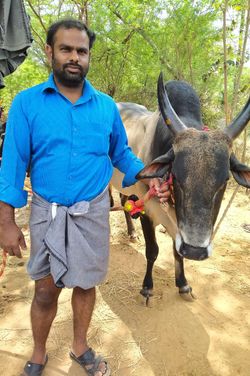 Kumar's photo