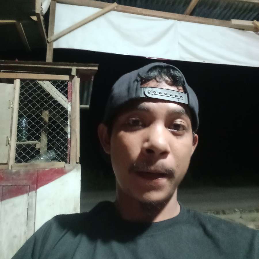 85761913 5950 medium large