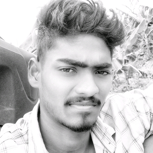 52999796 4386