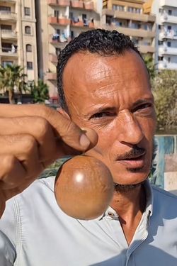 Amr Elbakri's photo