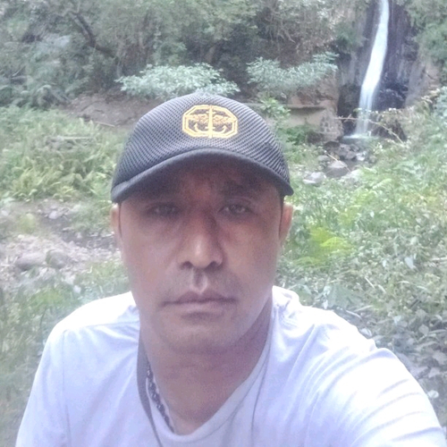 65161041 3145