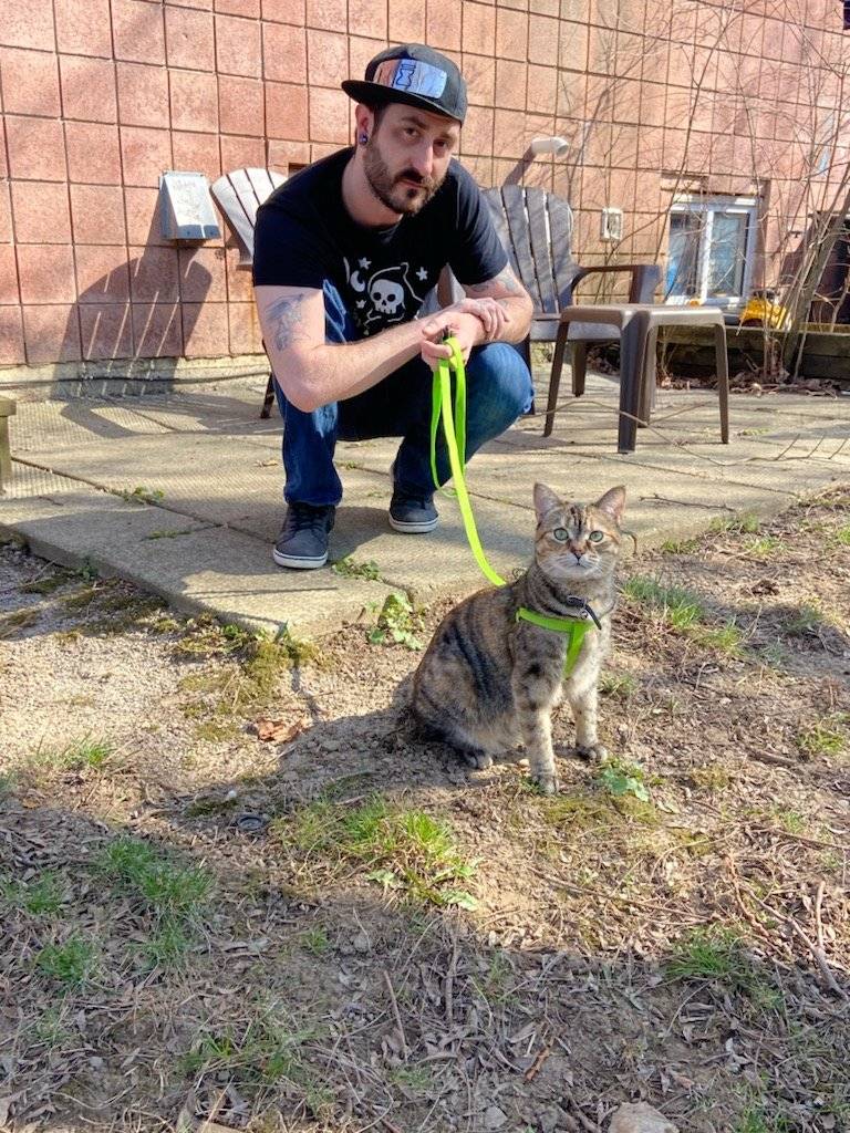 86137442 3653 medium large