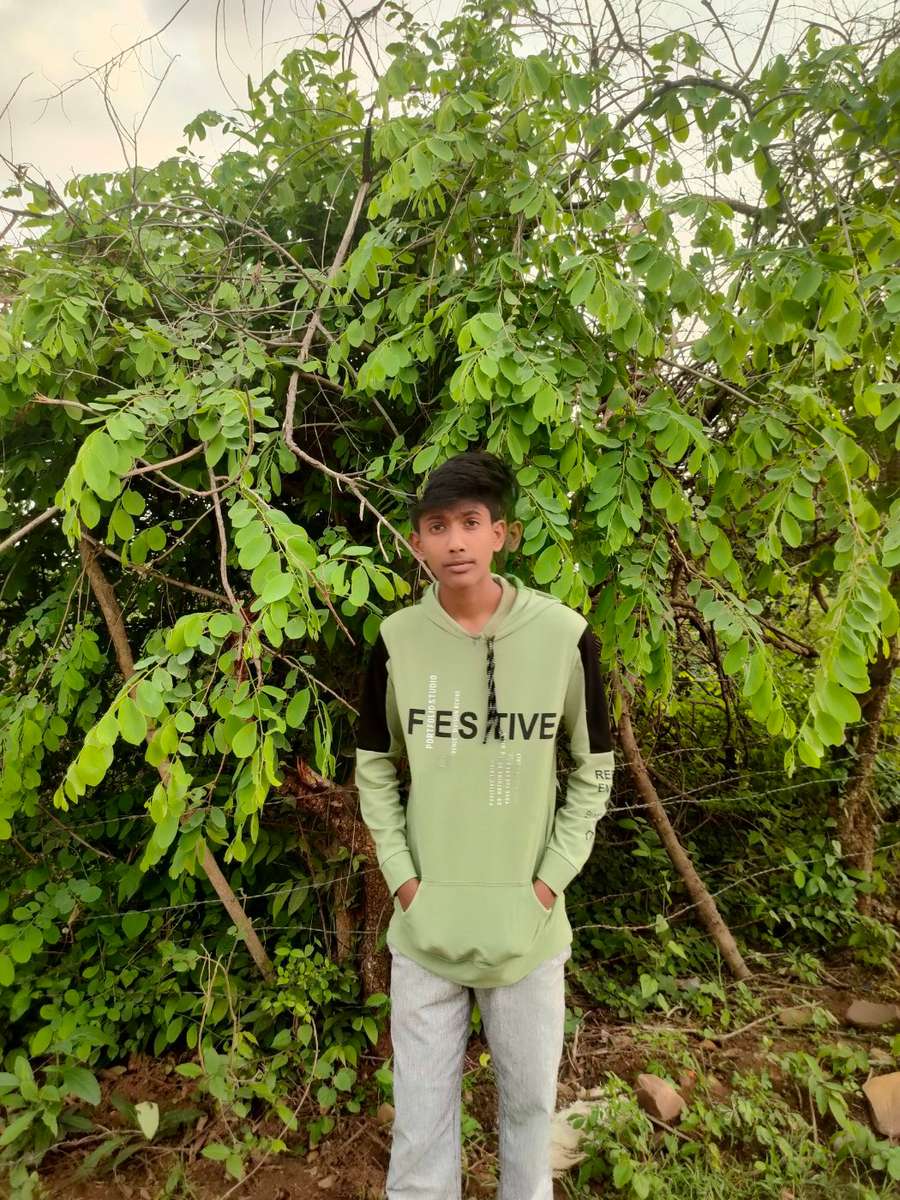 87602869 3376 medium large