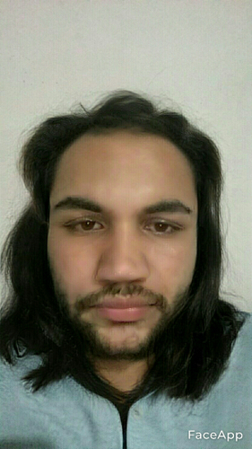 45623327 6831