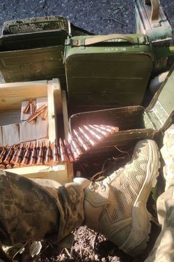 Dammein Hain's photo