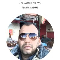 Nor Mohameed's photo