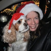 submissivepet's photo