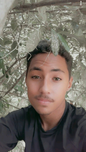 60333929 6815