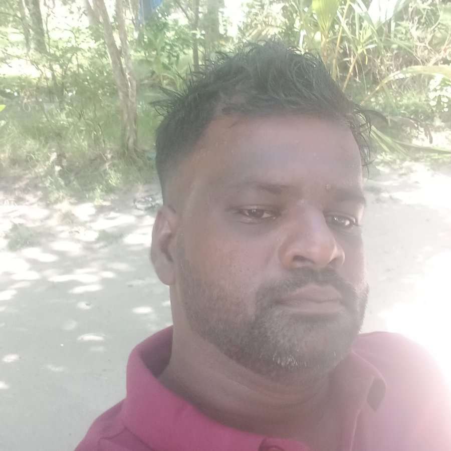 83391580 7435 medium large