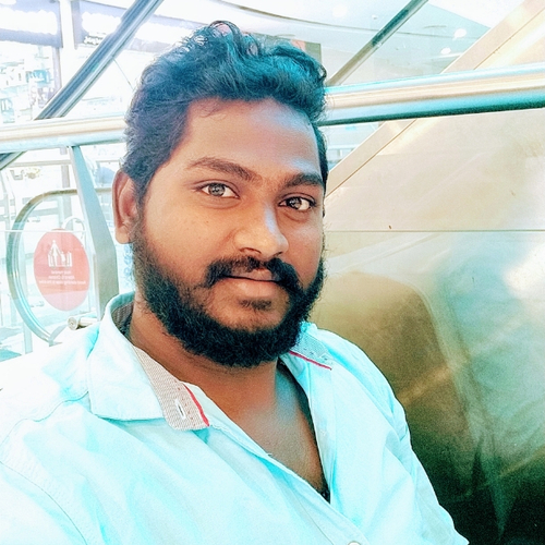 48898238 2637