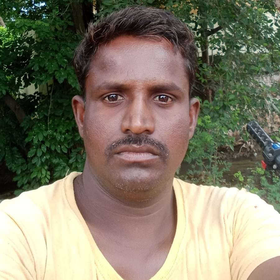 81549707 2943 medium large
