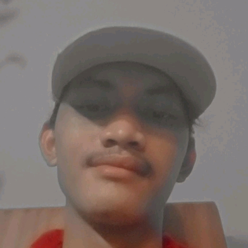 59178567 8005