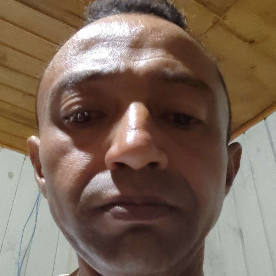 86235180 4775 medium large