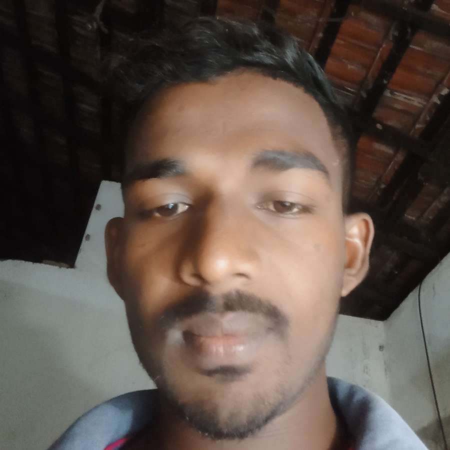 80576825 7317 medium large
