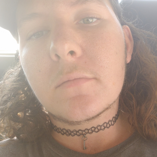 49201667 9528