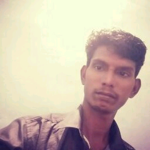 51281272 4203