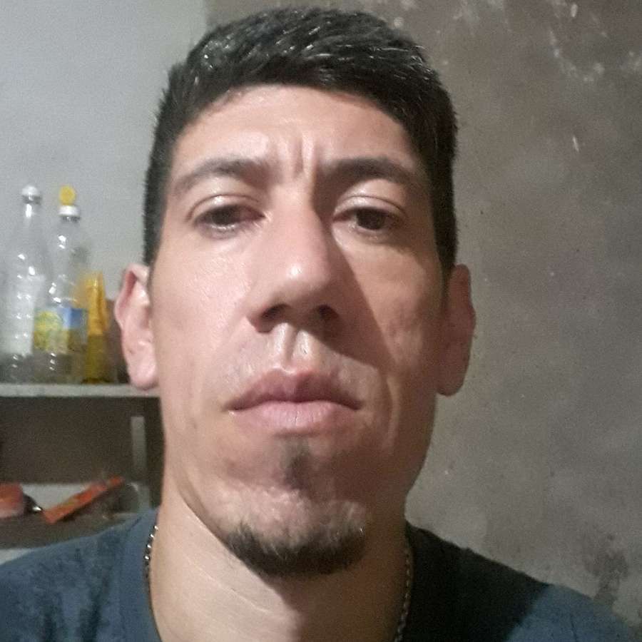 84185538 2494 medium large