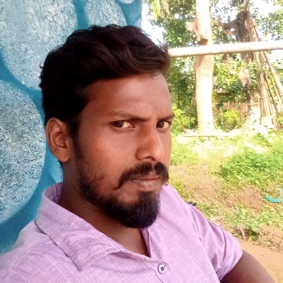 86543141 8555 medium large