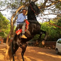 Naughty Angel 's photo