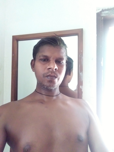 43504661 334