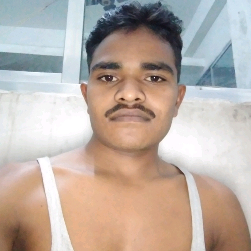 52851531 480